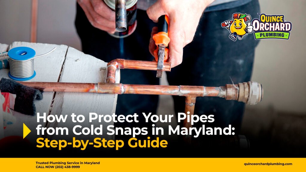 How to Protect Your Pipes from Cold Snaps in Maryland: Step-by-Step Guide