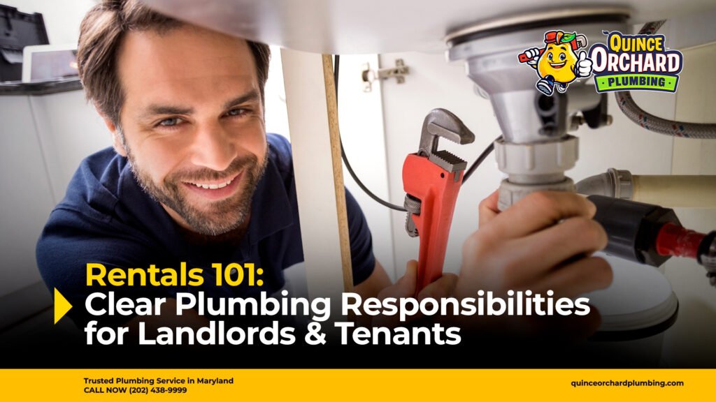 Rentals 101: Clear Plumbing Responsibilities for Landlords & Tenants