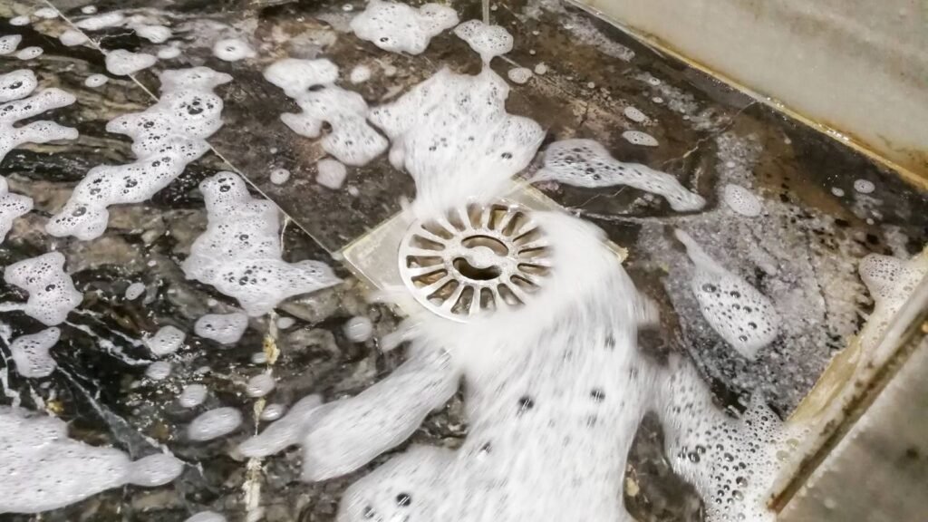 Drains, Sewer Lines, and Basement: The Hidden Risk Zone