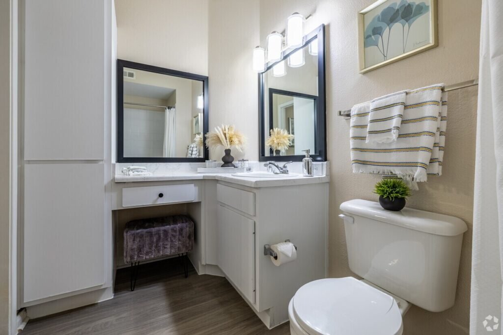 Toilets, Sinks, and Showers: Functional Checks You Can Do Yourself