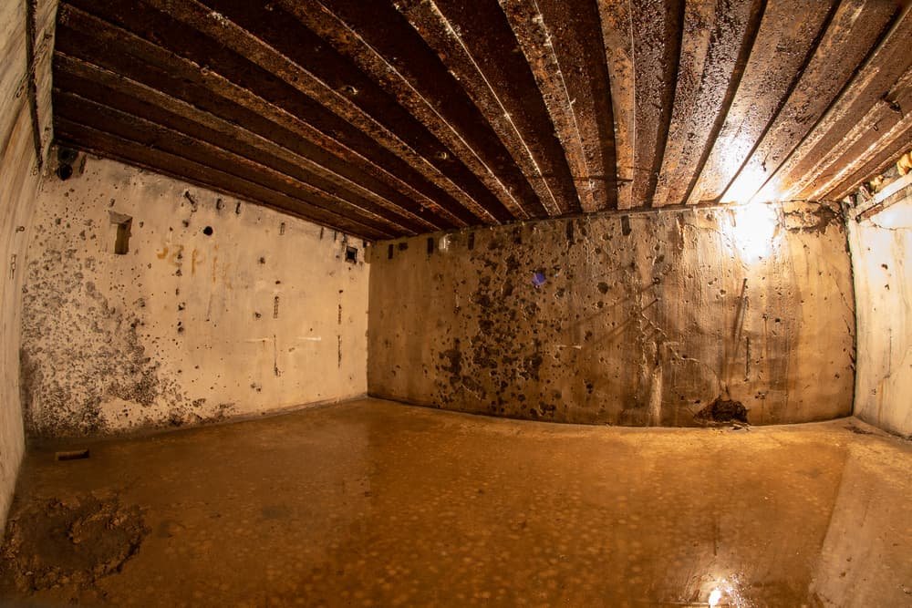 First: confirm you actually need a sump pump solution (not a plumbing emergency)