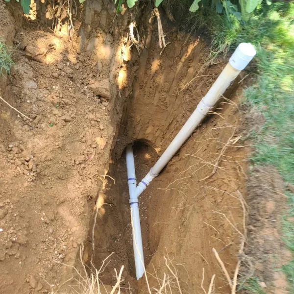 0074f09f-bc53-48e1-b7b6-0dba5b190098