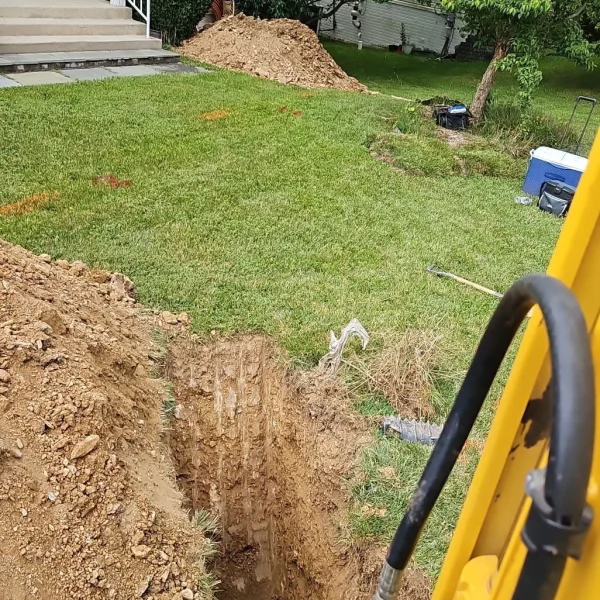 539c8fcf-c2d3-4b6e-940f-55ac19fdb896