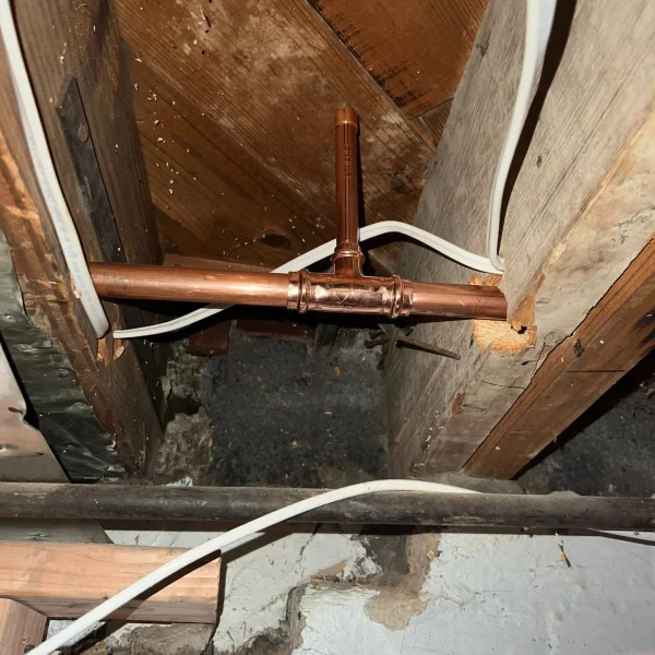 6e376d5f-0ec4-441e-a787-cd28299ab2f4