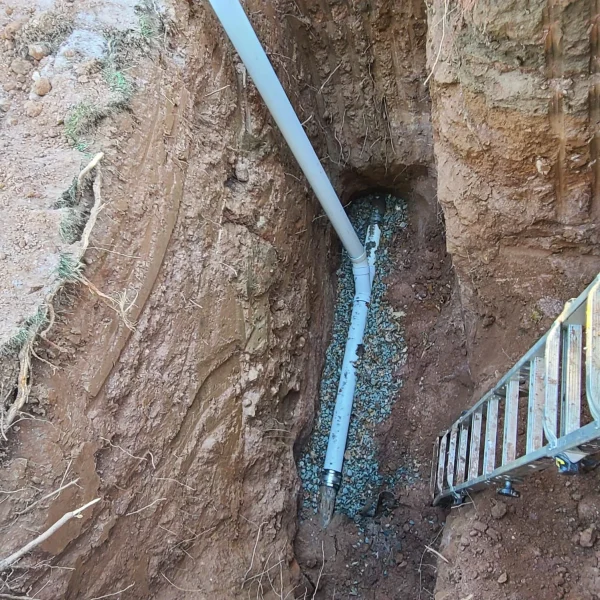 c64db5e2-e41e-493c-a5f6-64c753e2190c