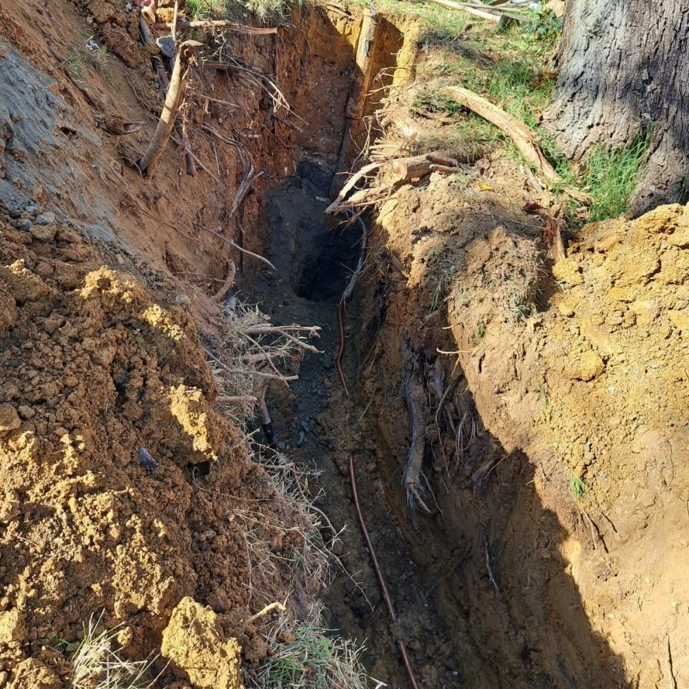 cd4b1e55-9223-4585-9627-d61bdd841f1b