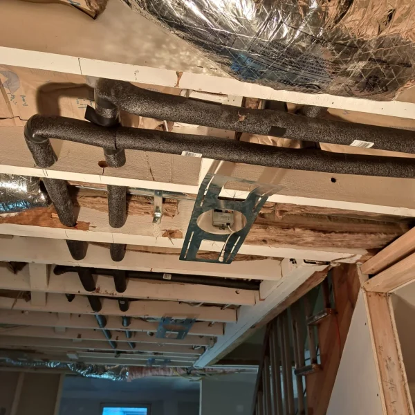 cf5993c7-624e-4d98-9ed6-1474bd27ee54